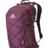 Gregory Kiro 22 Rucksack (amethyst-purple) -Gregory || VAUDE || Exped Verkaufsgeschäft Gregory Kiro 22 Rucksack amethyst purple D 136982 B170 Bild 1