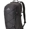 Gregory Kiro 22 Rucksack (obsidian-black) -Gregory || VAUDE || Exped Verkaufsgeschäft Gregory Kiro 22 Rucksack obsidian black D 136982 0413 Bild 1