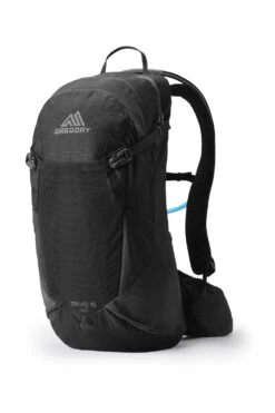 Gregory Salvo 16 Rucksack (ozone-black)