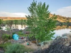 MSR Habitude 4 Zelt (blue) -Gregory || VAUDE || Exped Verkaufsgeschäft MSR Habitude 4 Zelt blue D 13447 Bild 7