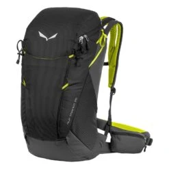 Salewa Alp Trainer 25 Rucksack (black)